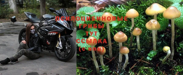 ALPHA PVP Белокуриха