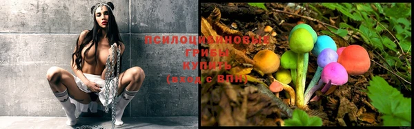 ALPHA PVP Белокуриха