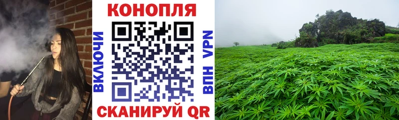 купить наркотики сайты  Кохма  Бошки Шишки AK-47 